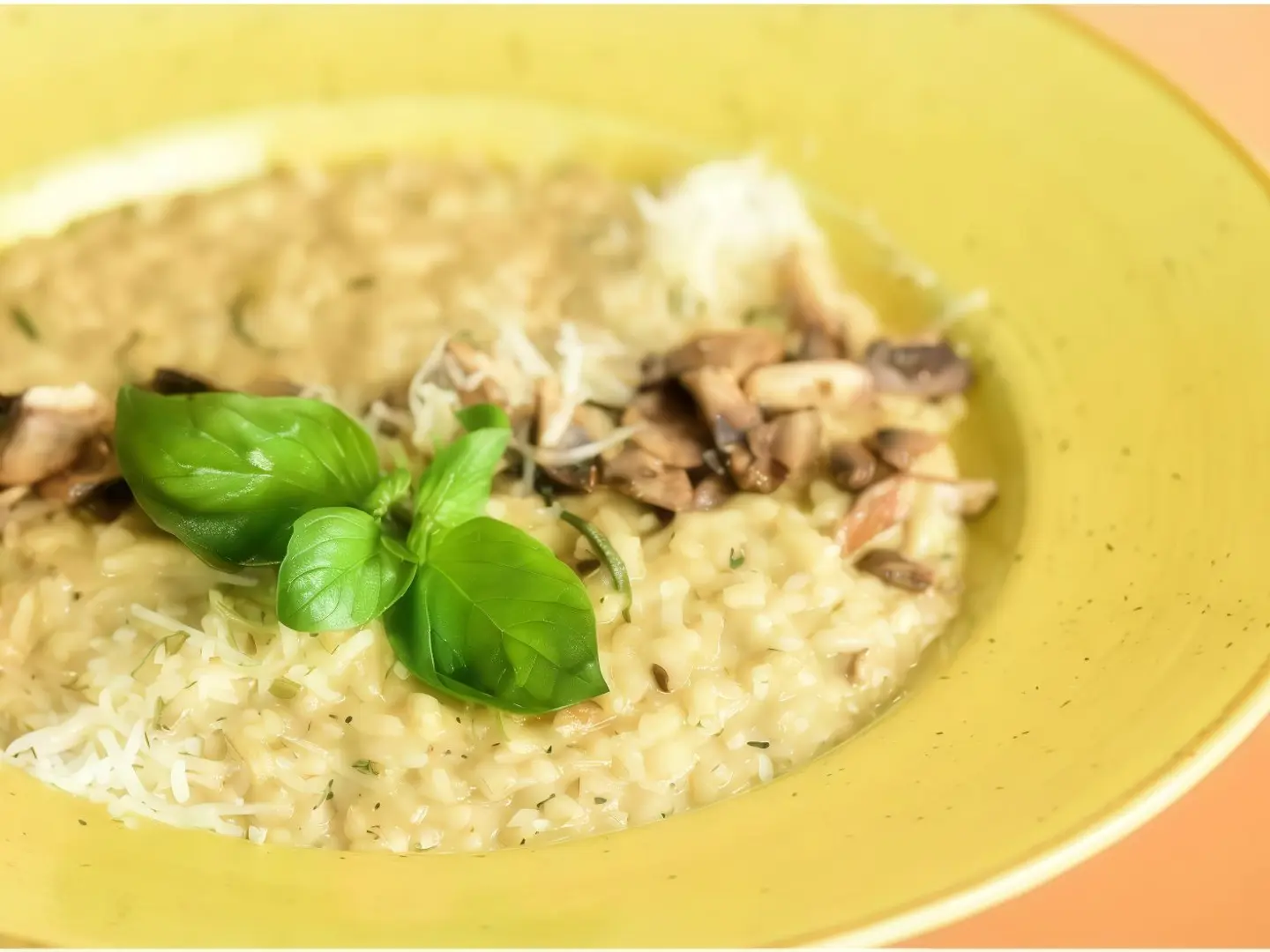 Mushroom Risotto