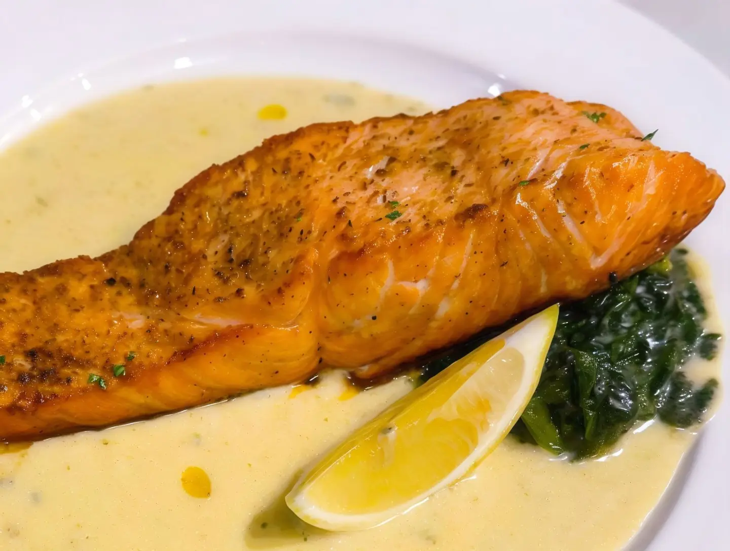 سالمونيا الا جراجيليا