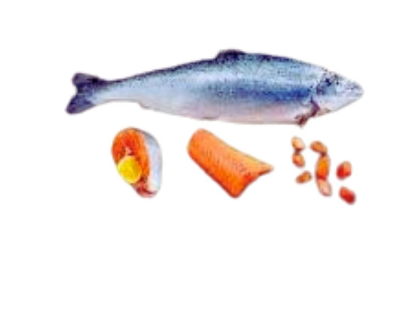 سلمون نصف كيلو