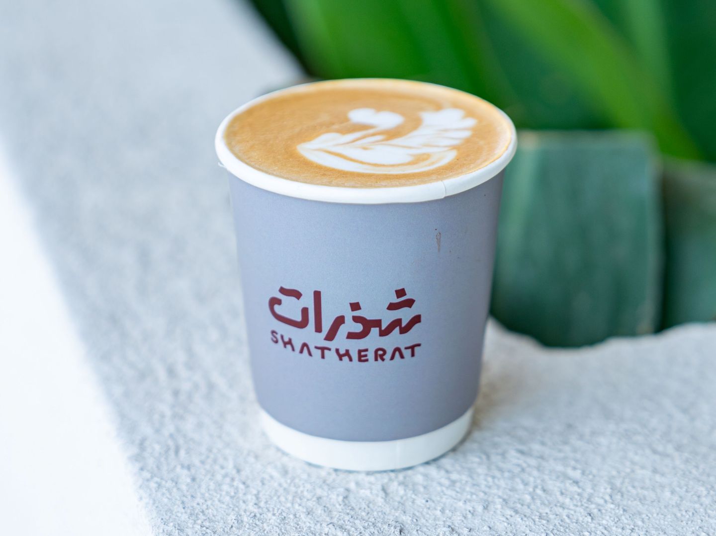 فلات وايت