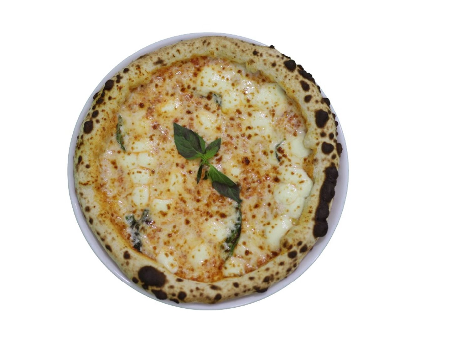 Margherita