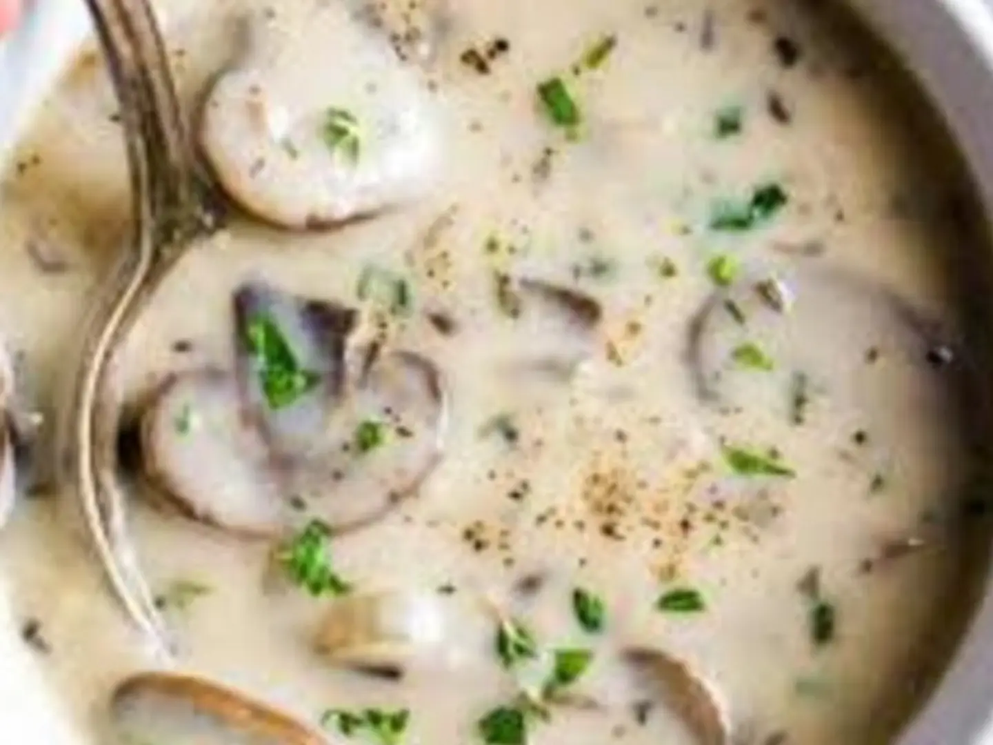 شوربة اليوم