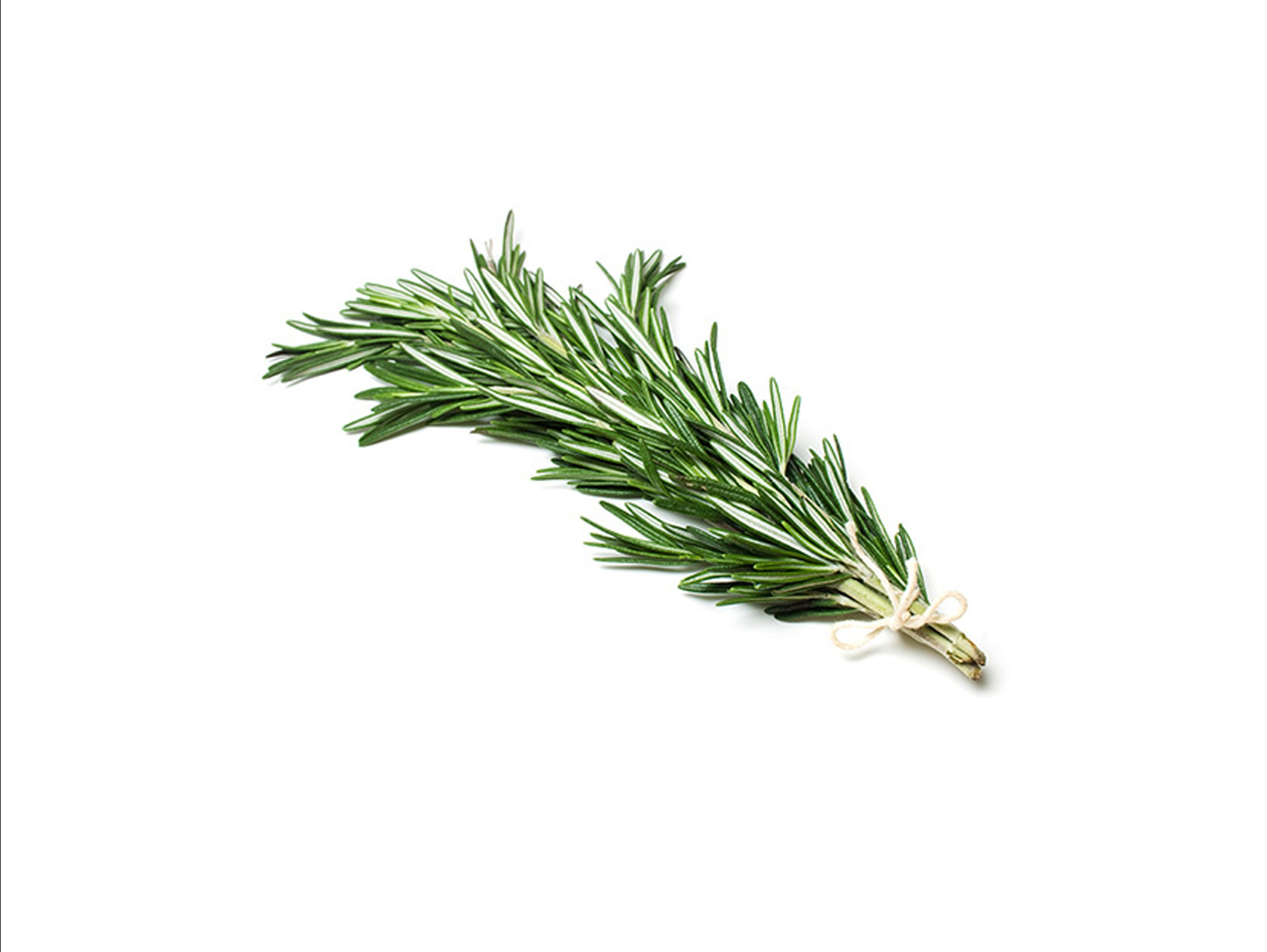 Fresh Rosemary 100g