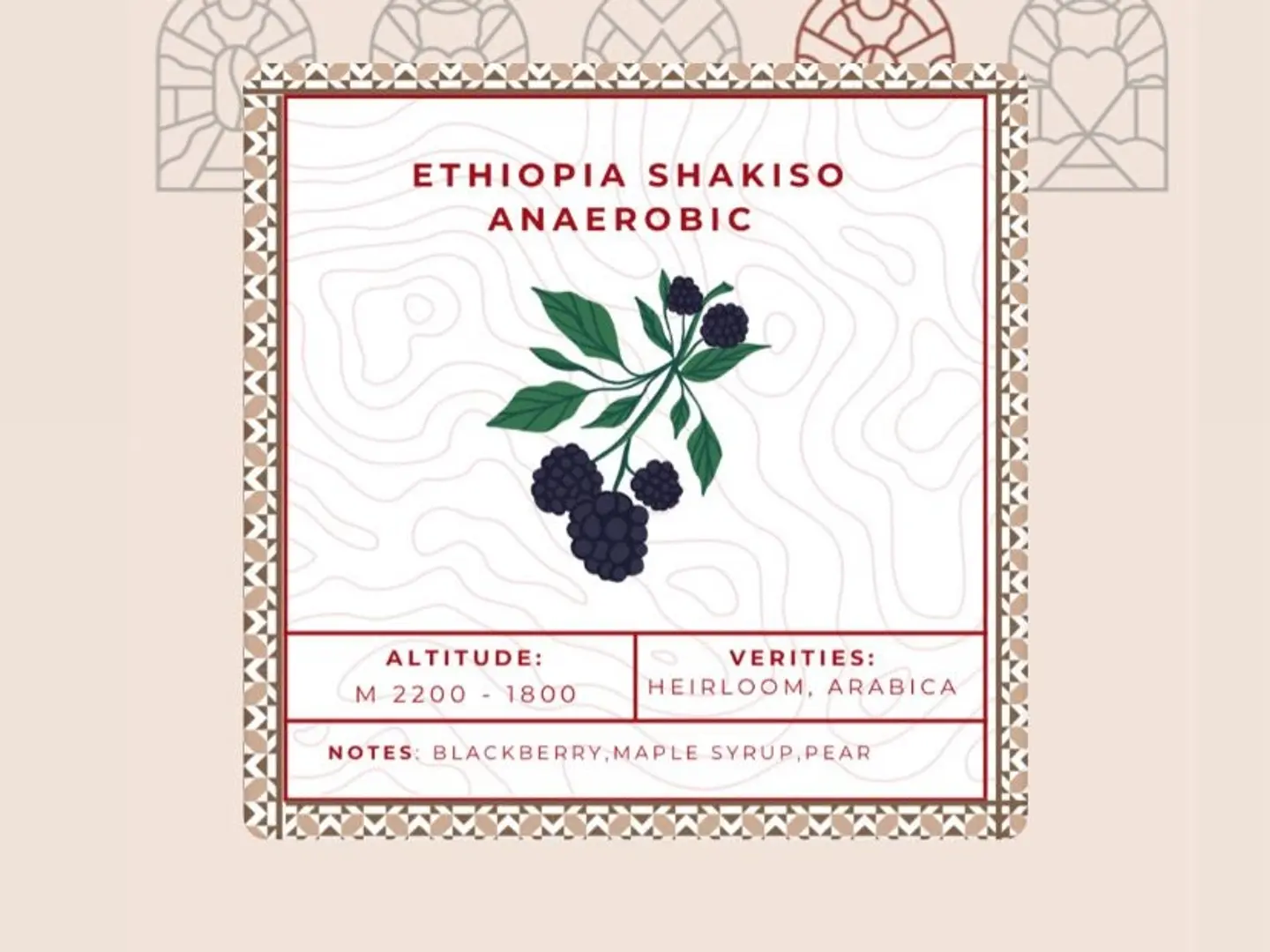 Ethiopia Shakiso Extended Drying