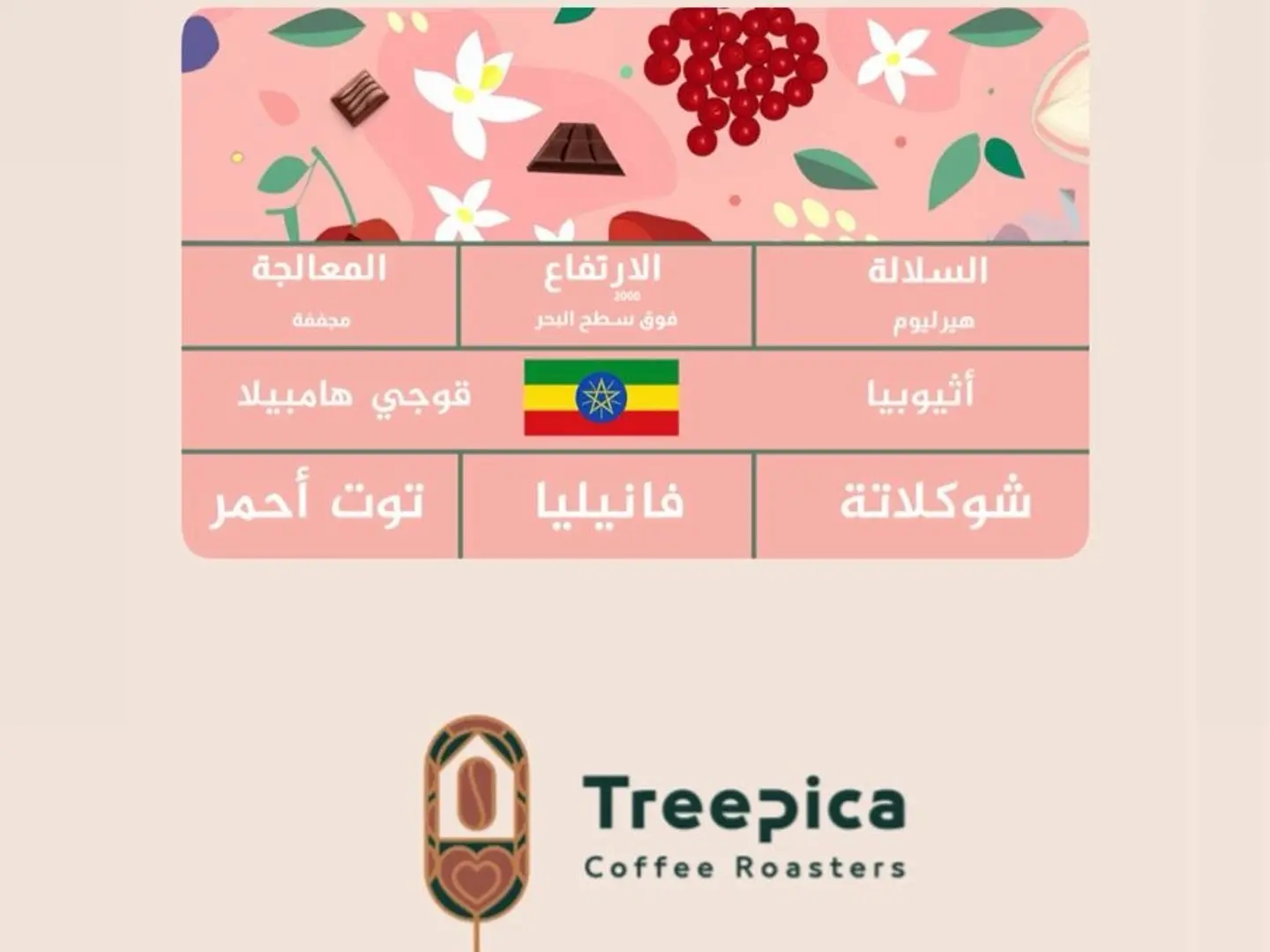 Ethiopia Guji Dried 250g