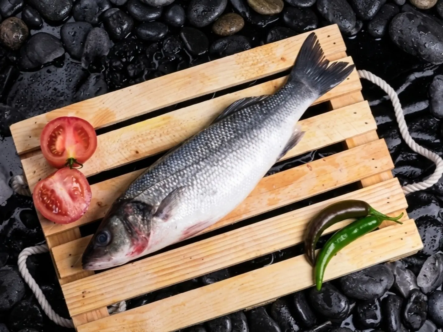 سيباس أوروبي