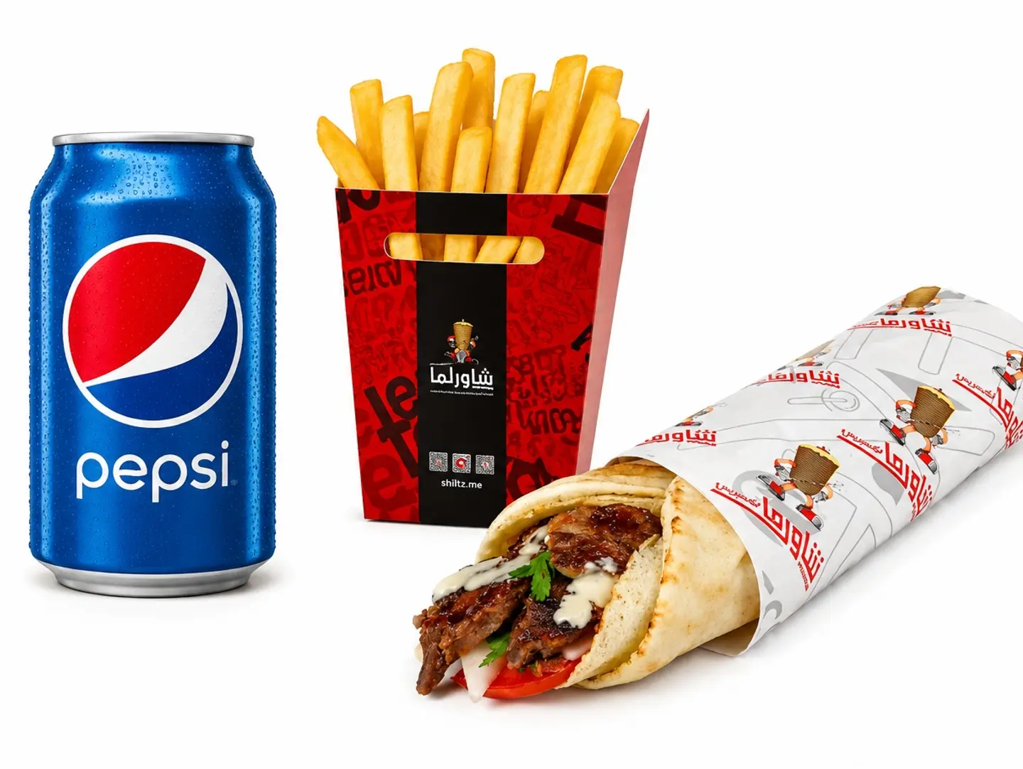 Lebanese Meat Shawarma Meal