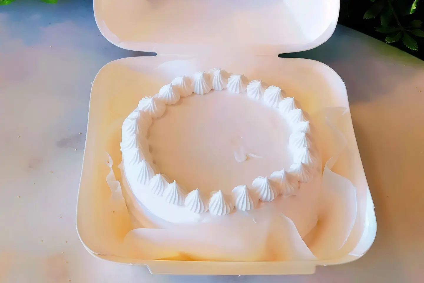 الكيك الكوري بنكهة الفانيليا