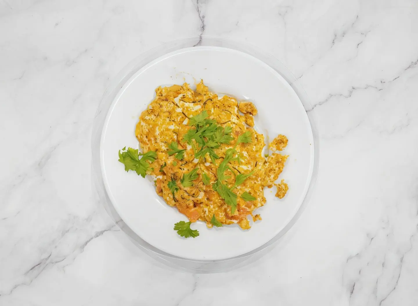 شكشوكة عادي بيض استواء