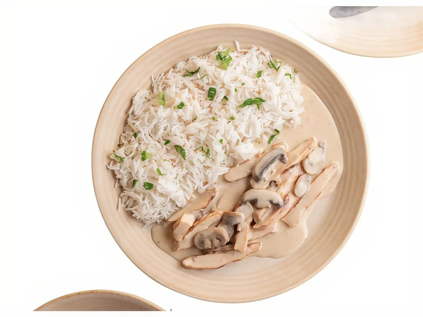 دجاج مشروم - دجاج مشروم ١٠٠ جرام