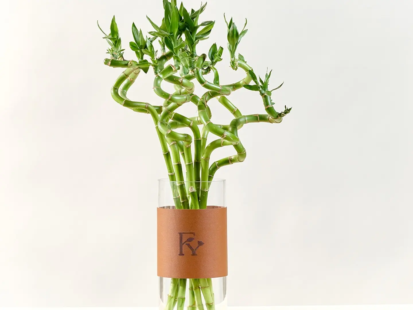 Bamboo Branch Vase
