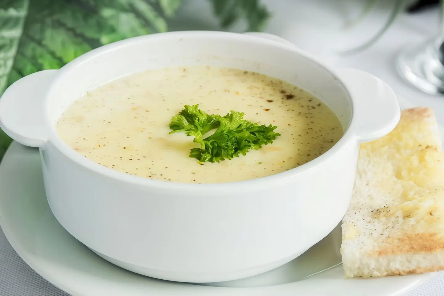 شوربة دجاج بالكريمه