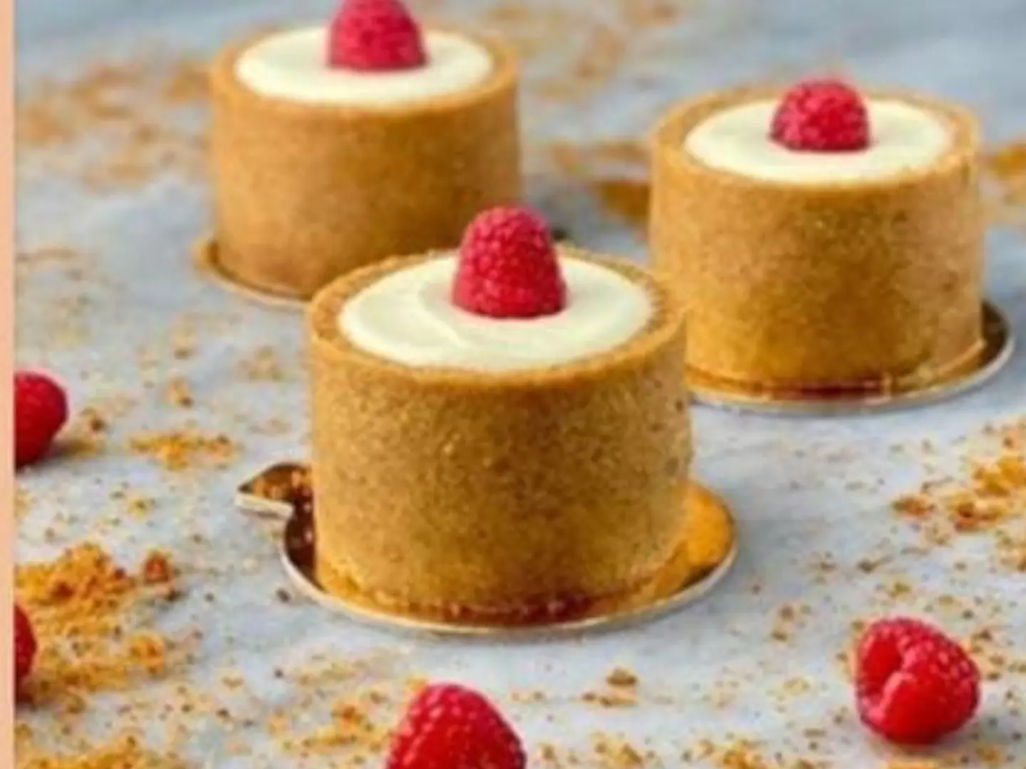 تشيز كيك فانيليا