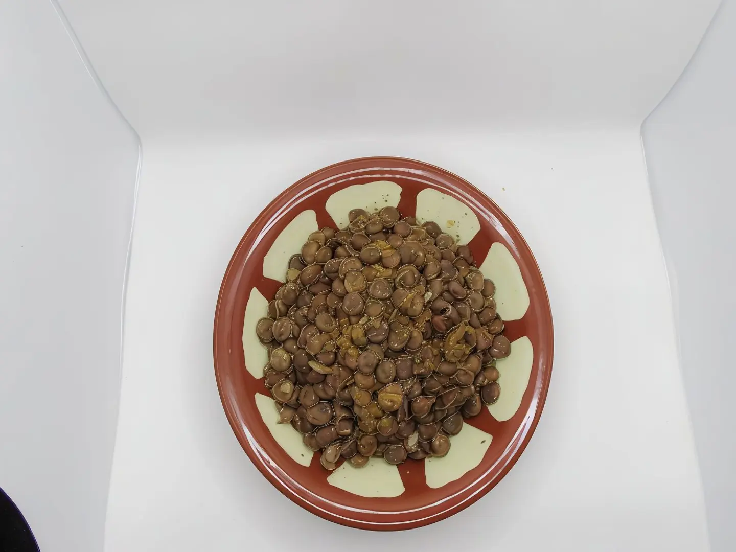 عدس