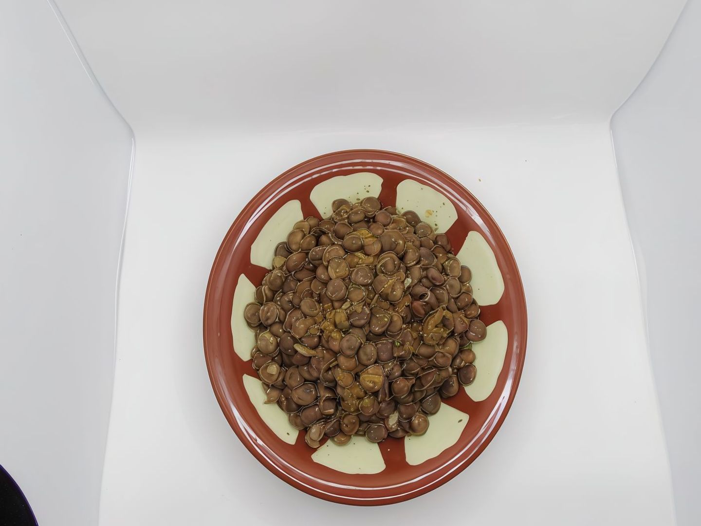 عدس