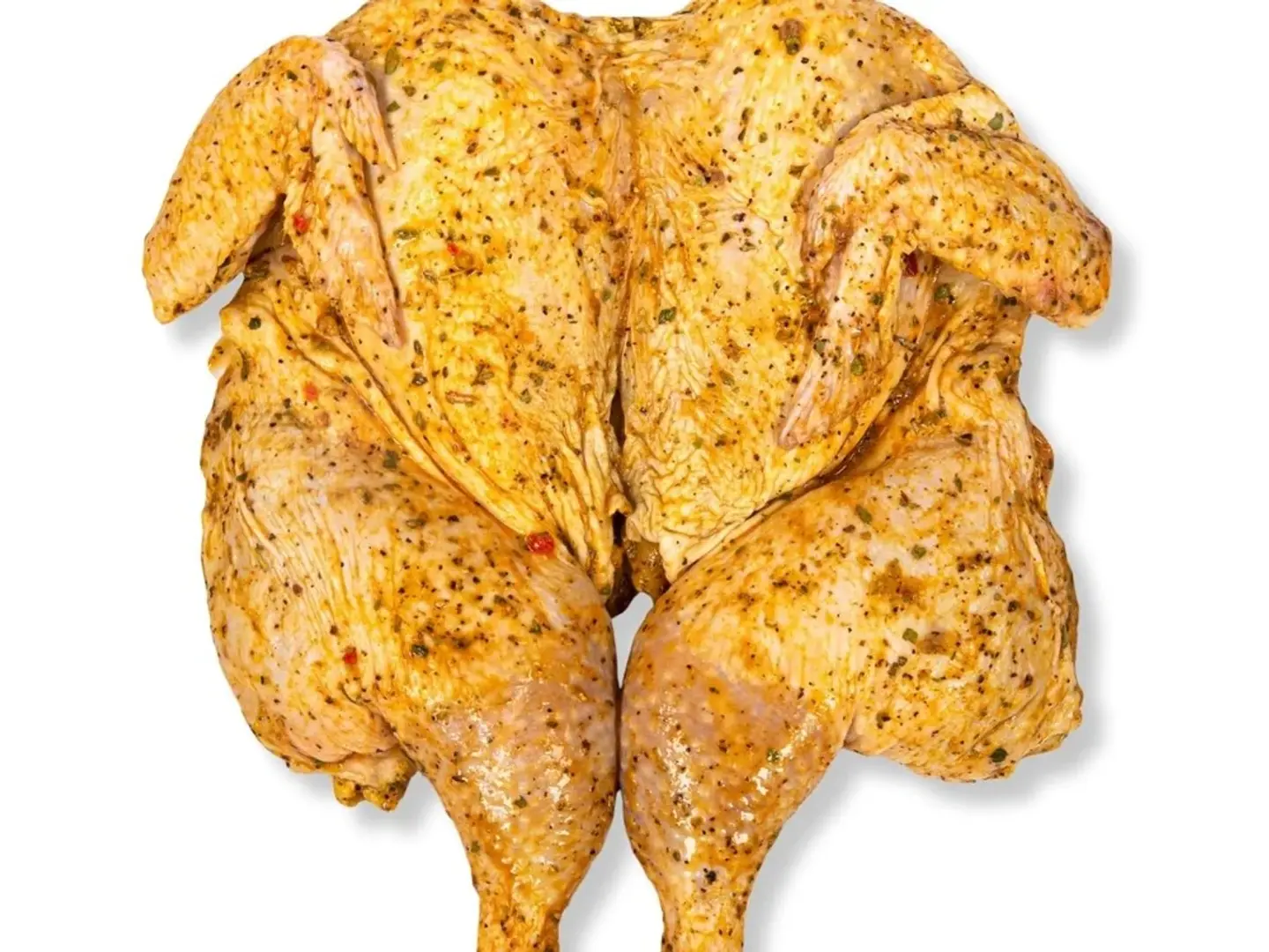 دجاجة طازجة