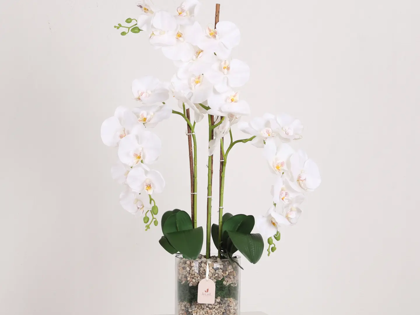 Orcid Flower Vase