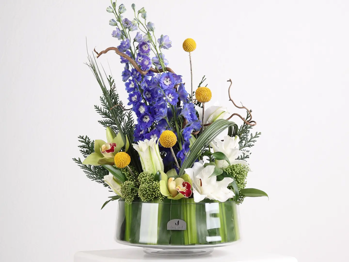 The Purity Of Spring