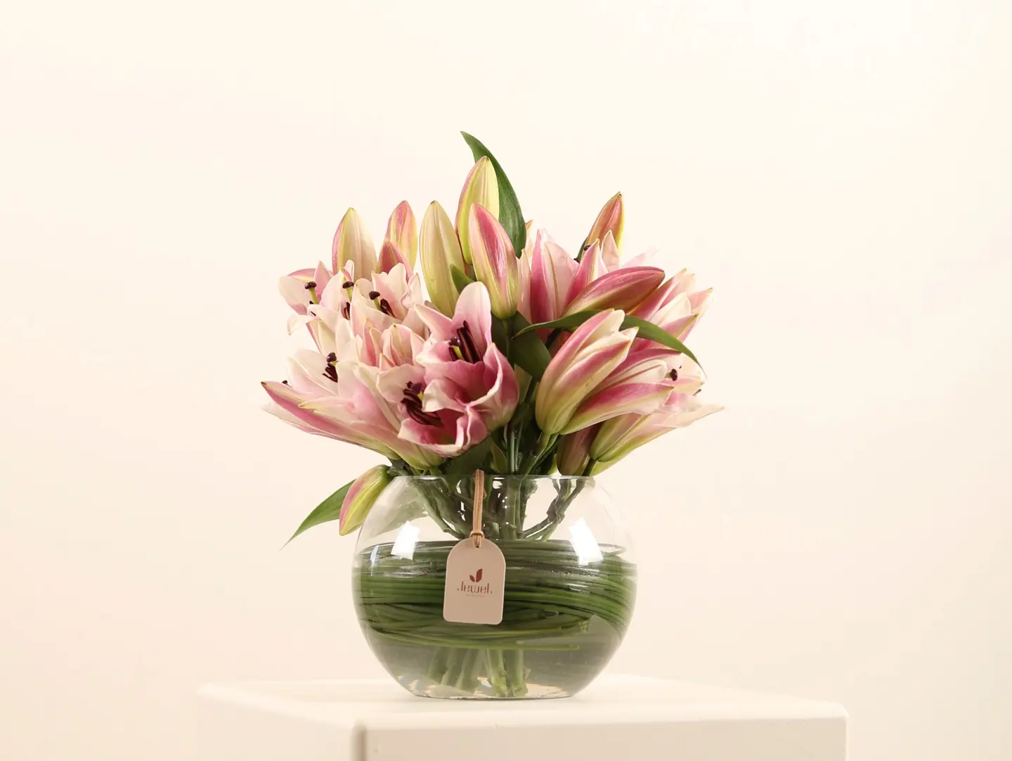Lily 2