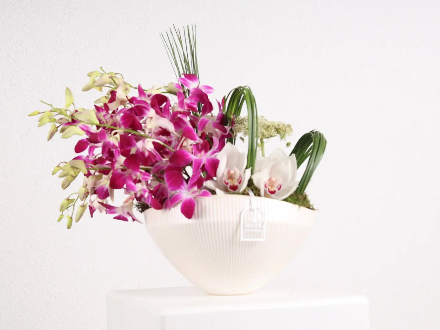 Orchid Velvet