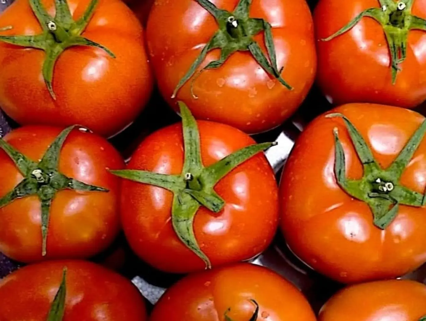 Large Cork Tomatoeslarge