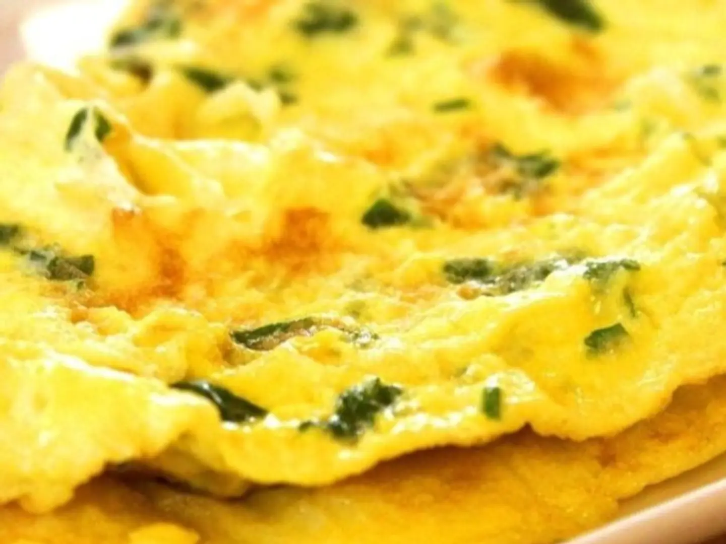 Chicken Cheese Omelette