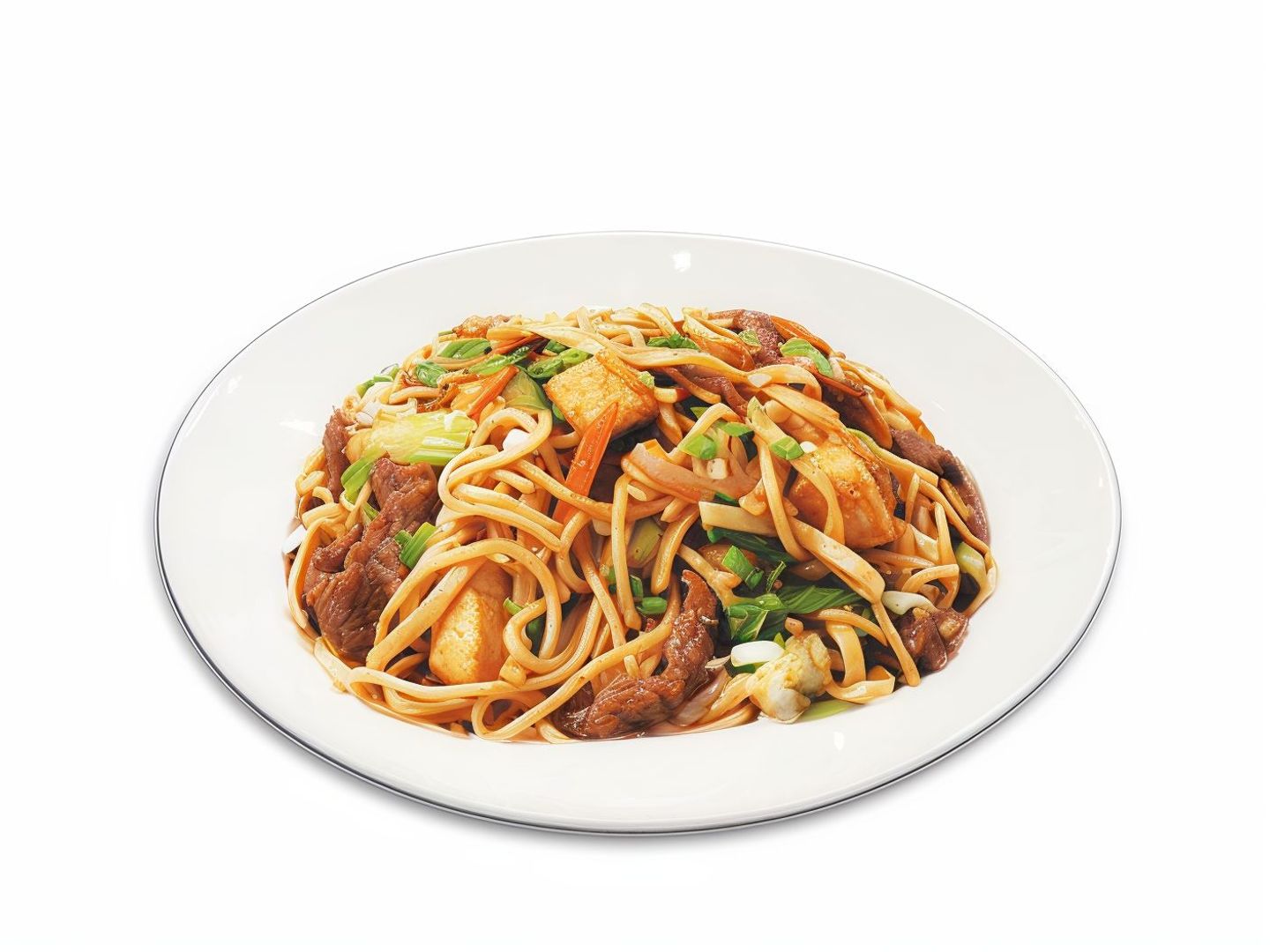 Noodels With Chicken & Beef