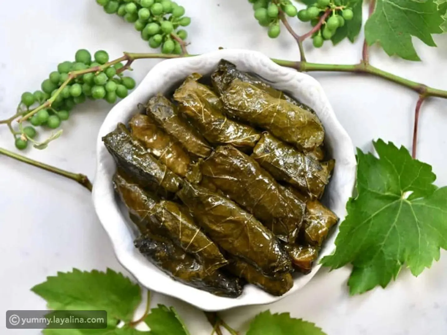 ورق عنب