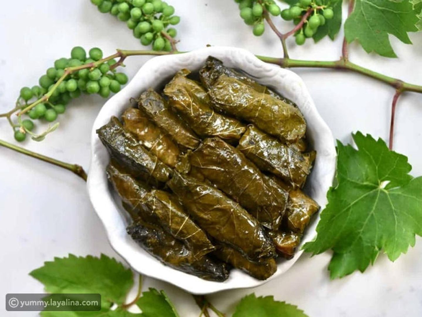 ورق عنب