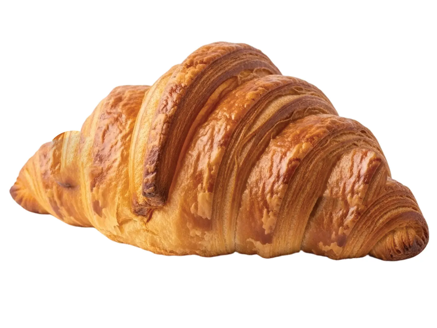 Plain Croissants