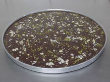 بسبوسة شوكولاتة - ١ كجم