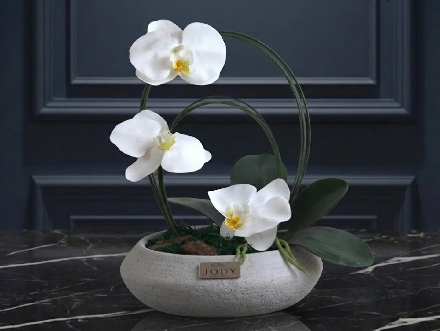 Orchid Elegance