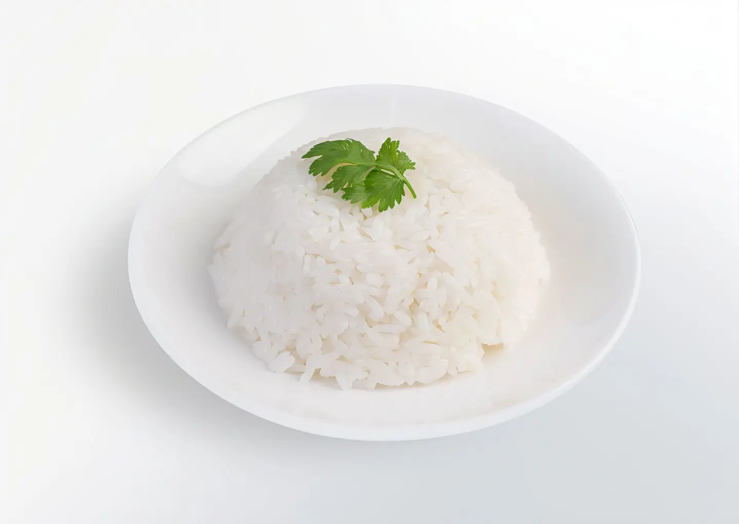 رز ابيض