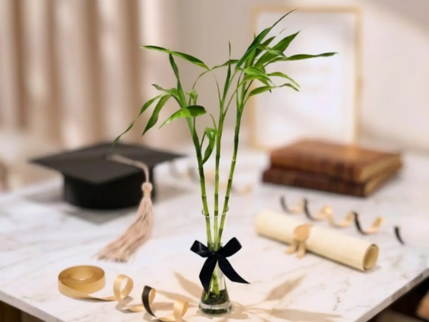 Three Bamboo Stems In Glass Vase