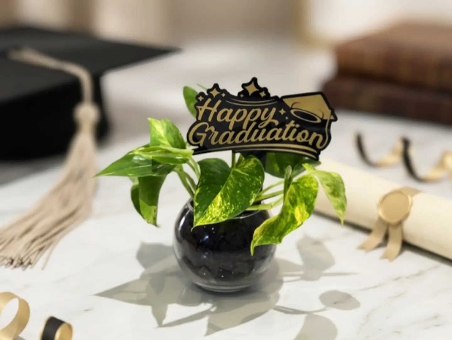 Pothos Plant In Vase With A Happy Graduation Topper