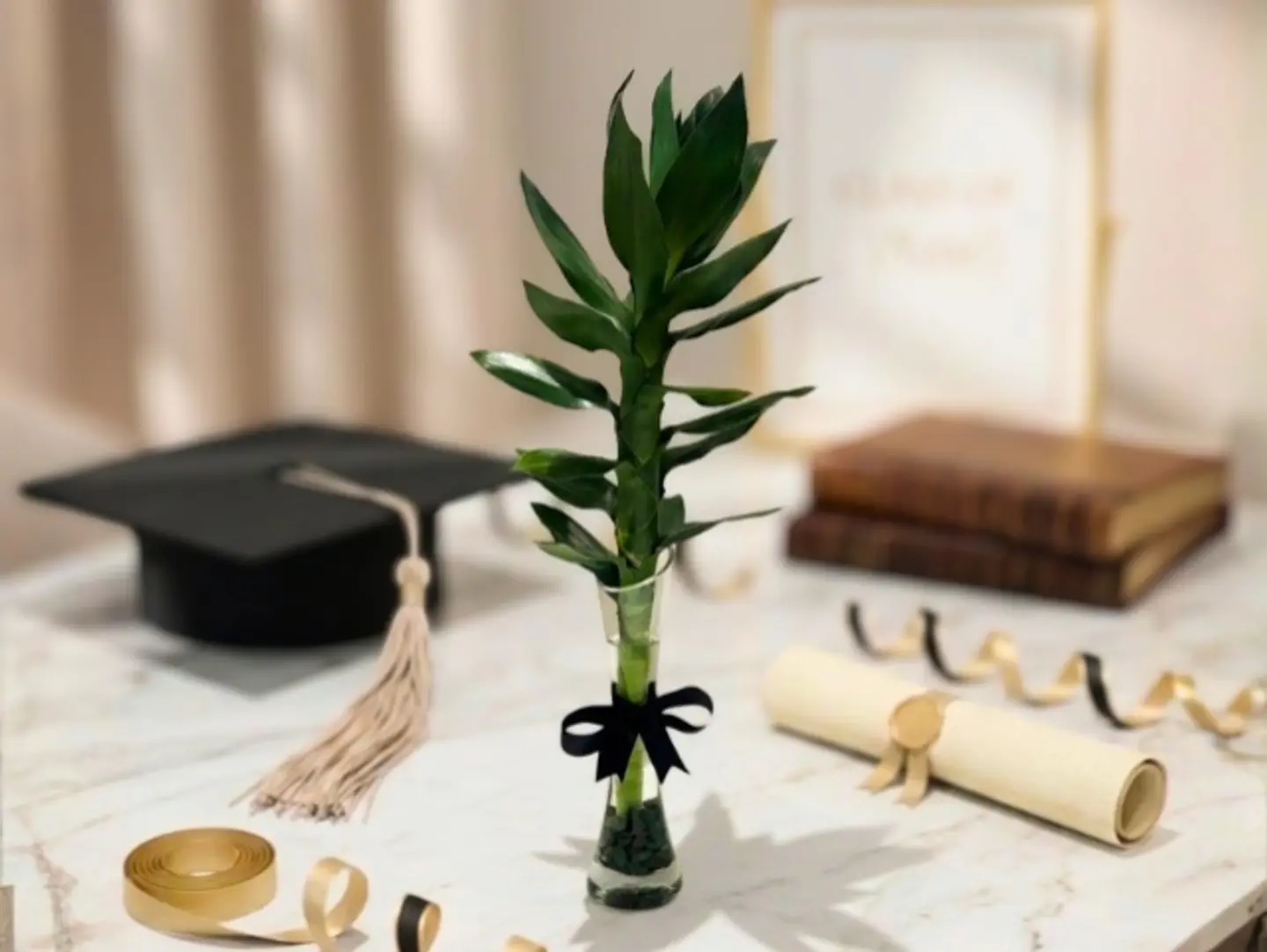Bamboo Stem In Glass Vase