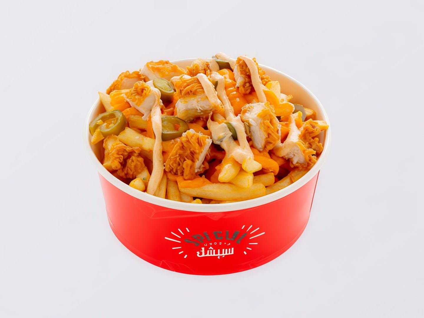 Chicken Special Fries