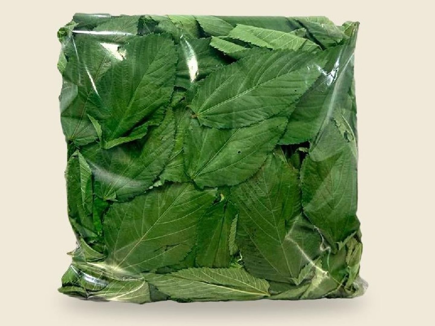 ملوخية مقطفة