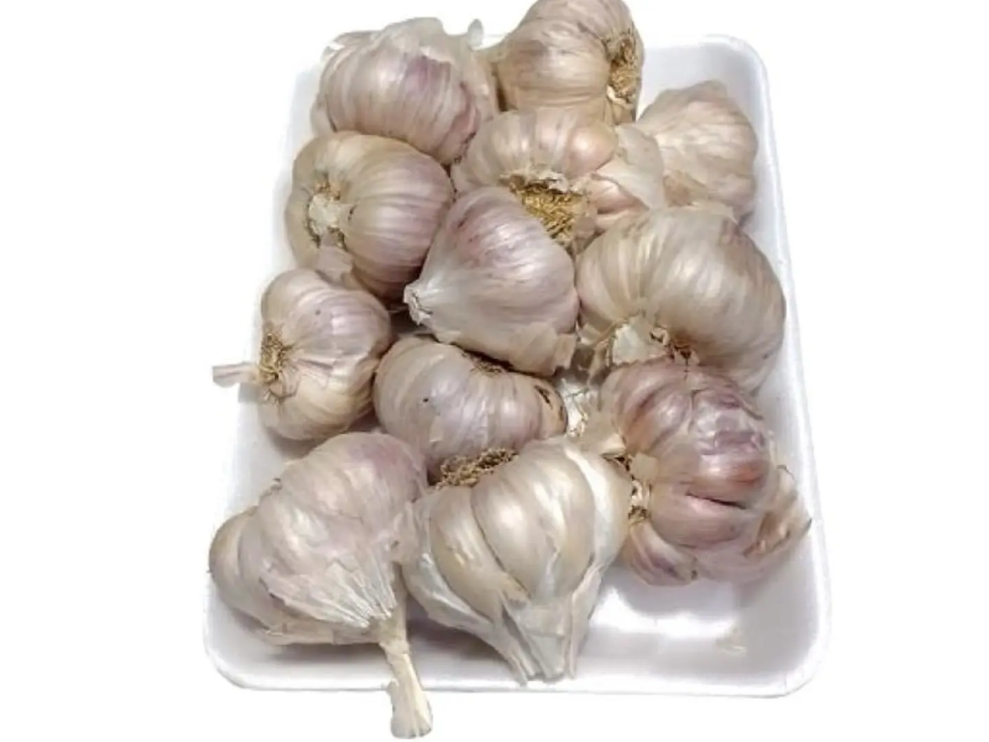 Fresh Garlic