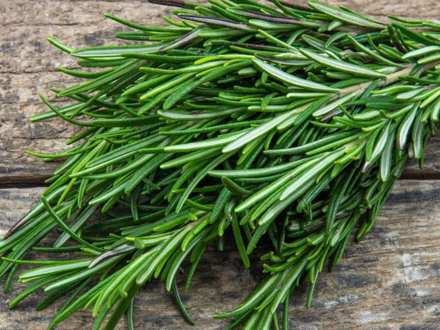 Fresh Rosemary