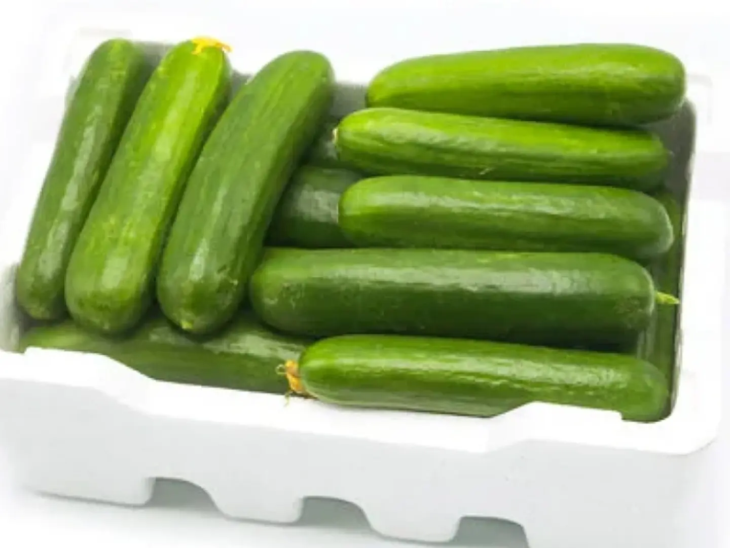 Cucumber