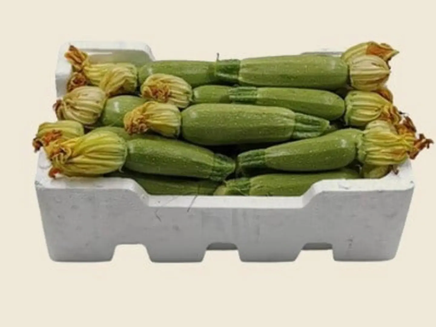 Fresh Zucchini