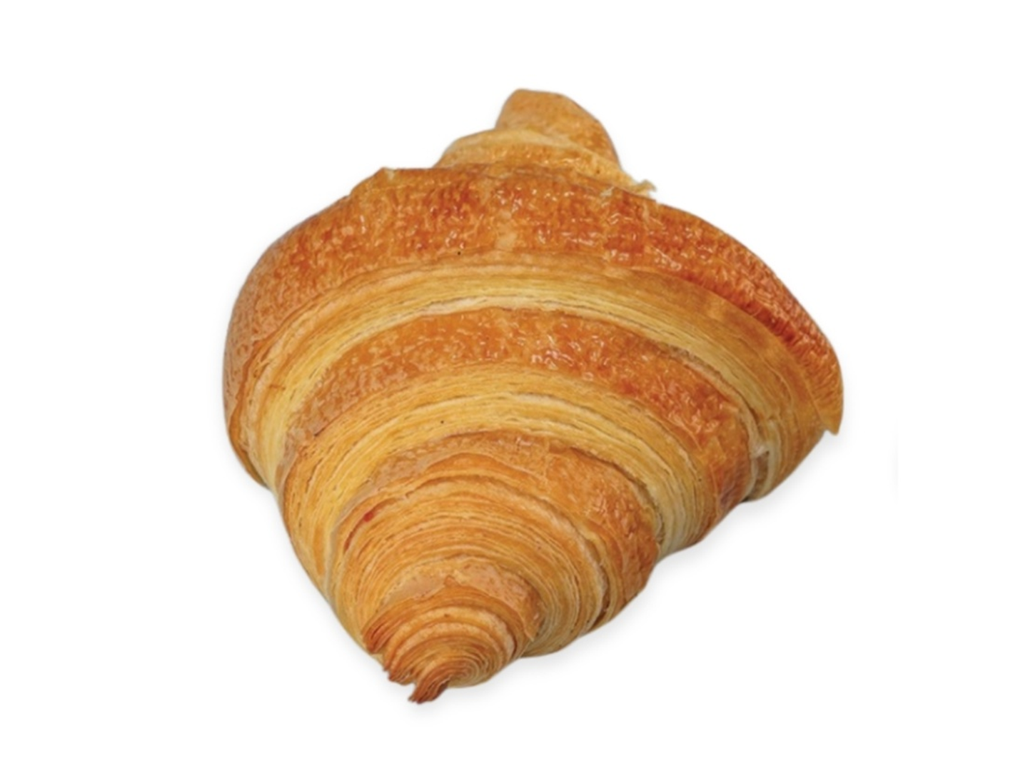Plain Croissant   Larg