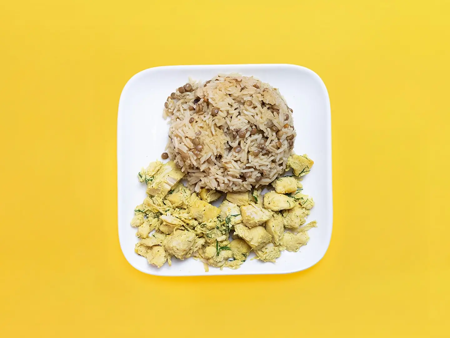 دجاج شبت ليمون