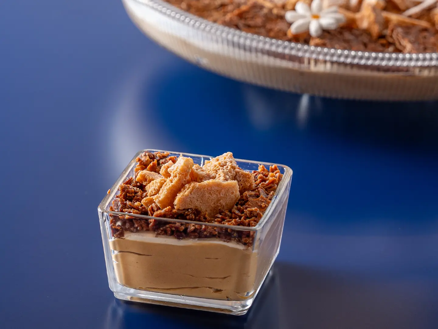 سولتد كرمل بورلية