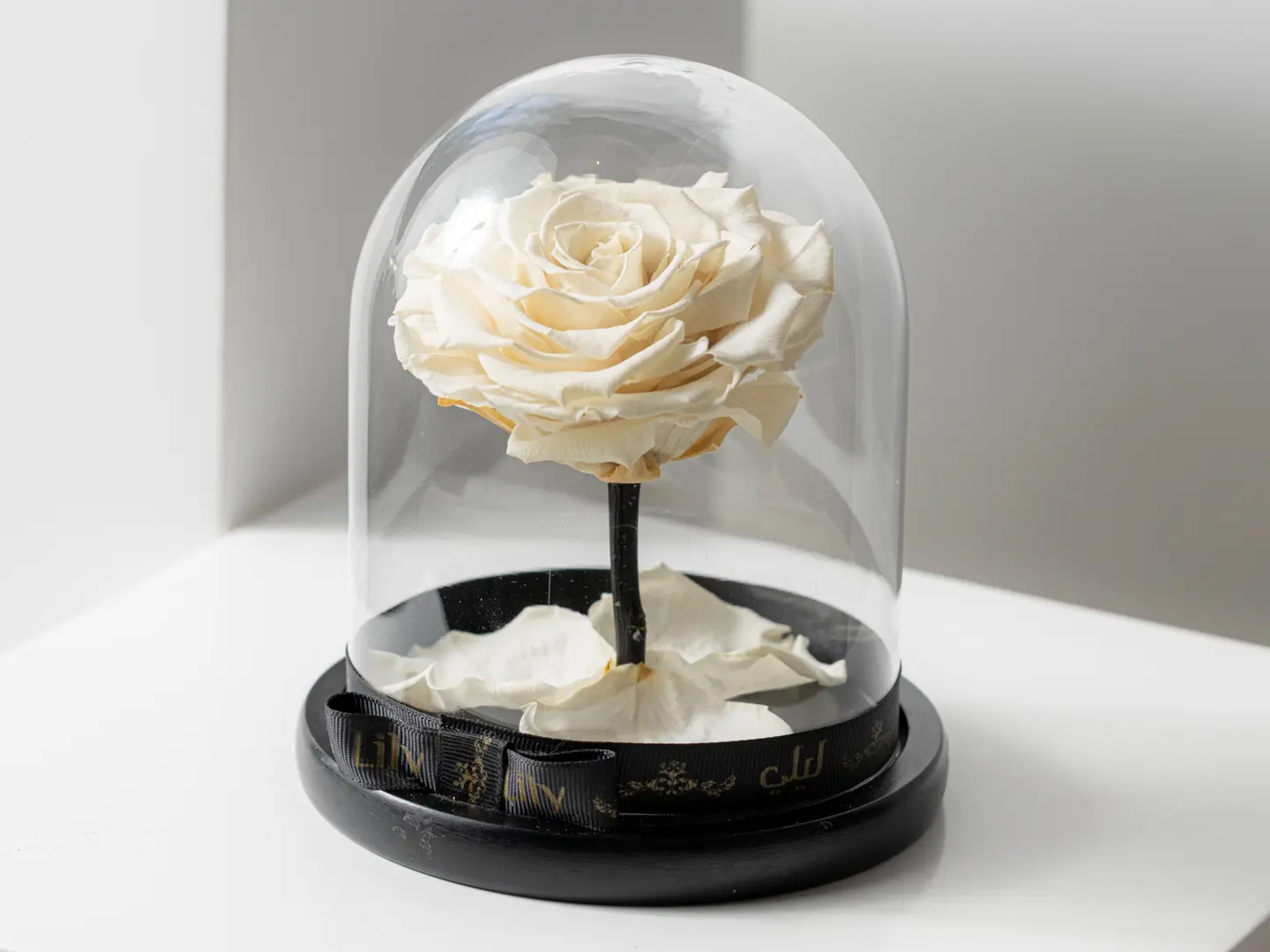 ورد دائم باللون الابيض