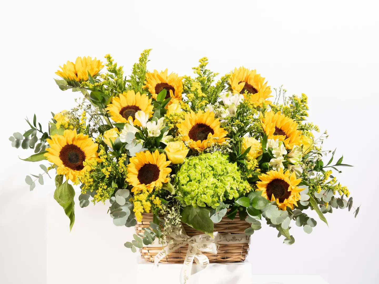 سلة تباع الشمس - كبير