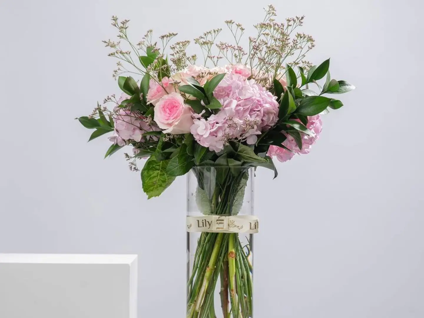 فازة الألهام