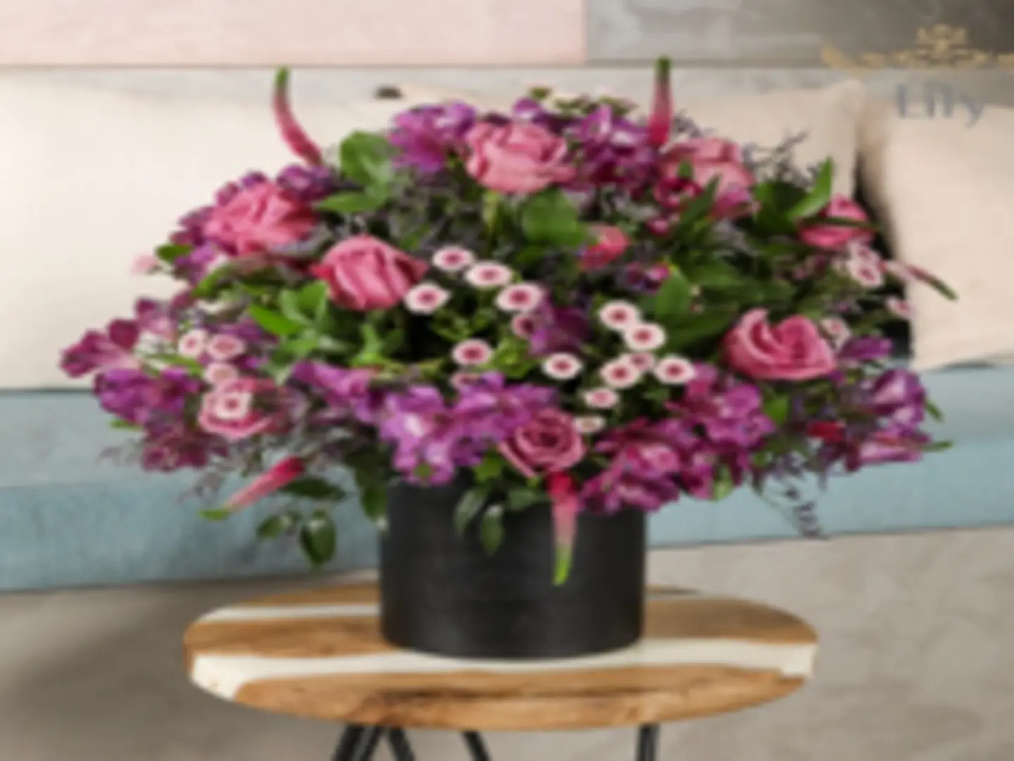 فازة البهجة جلد