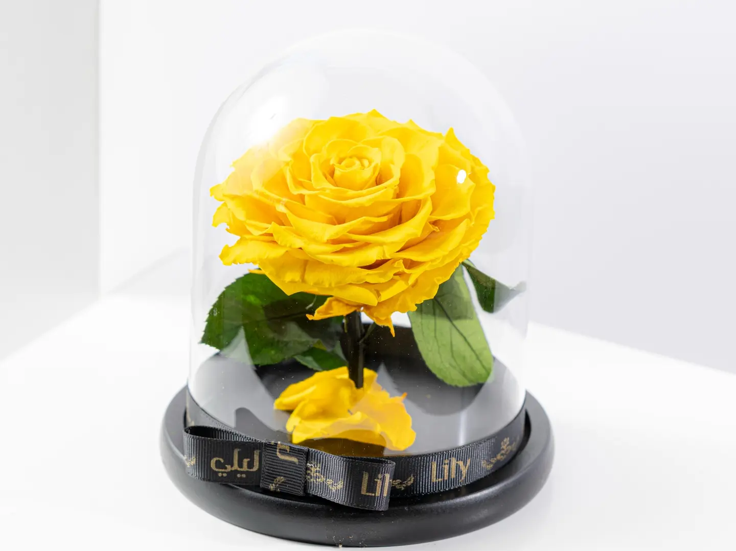 ورد دائم باللون الأصفر